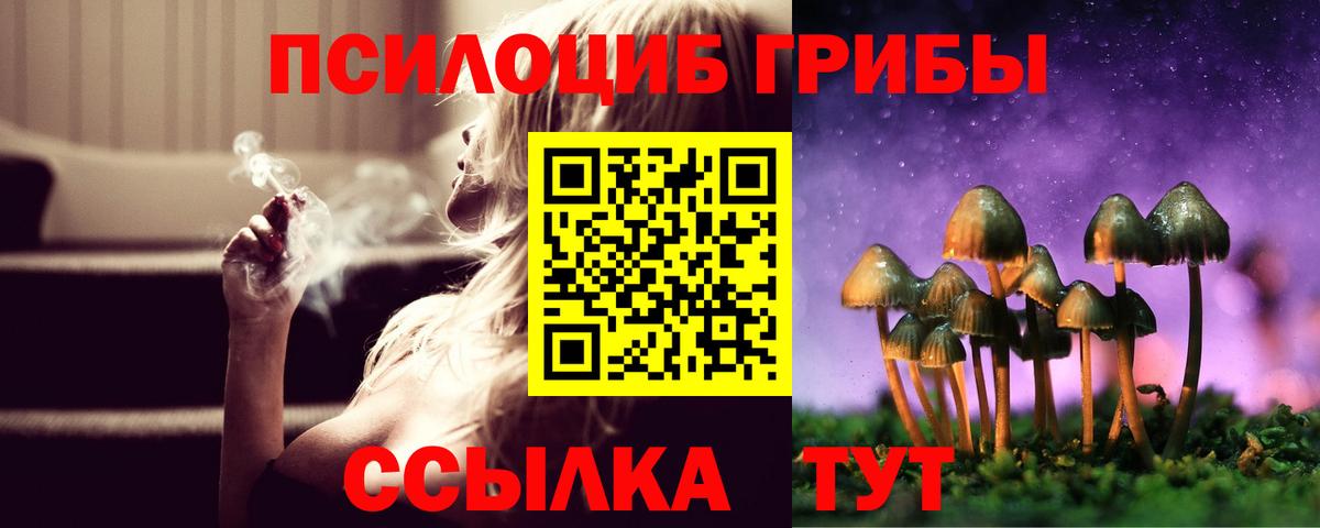 Галлюциногенные грибы прущие грибы Электросталь